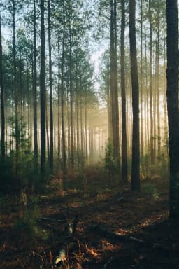 Naslovna slika prispevka Tožba za odpravo okoljevarstvenega soglasja za kamnolom Črnotiče 2